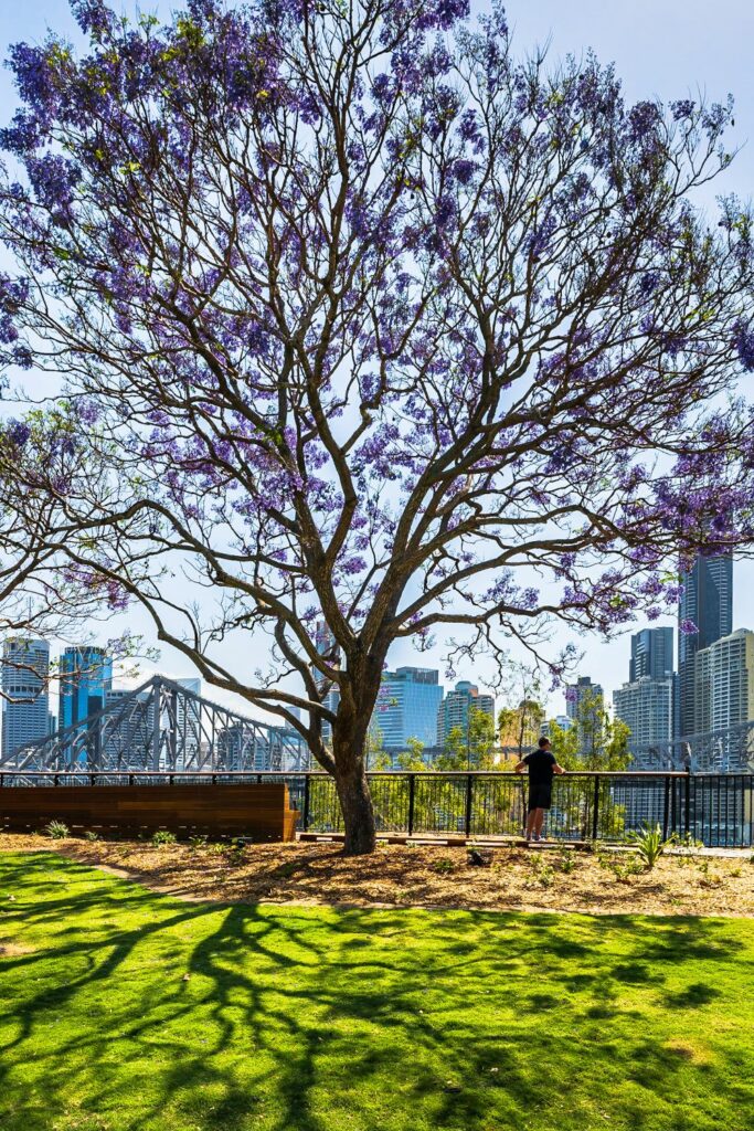 Kangaroo Point, Brisbane.